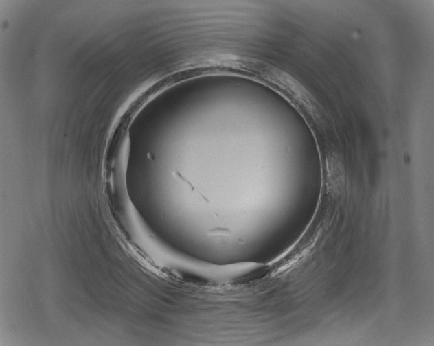 X0000078890780200611131229