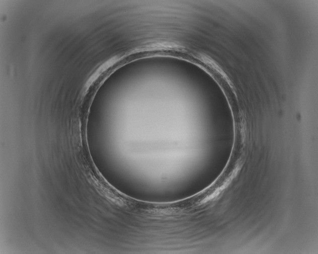 X0000078890781200611131229