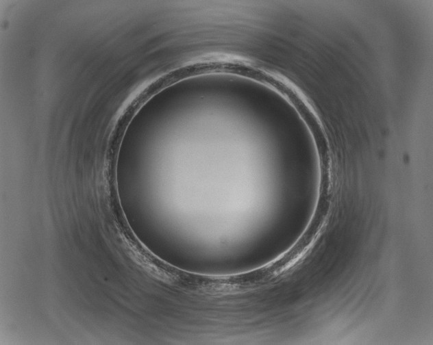 X0000078890783200611131229