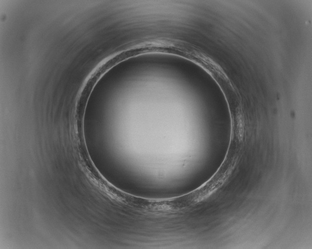 X0000078890784200611131229