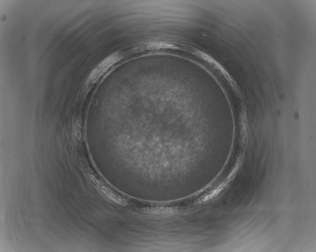 X0000078890785200611131229