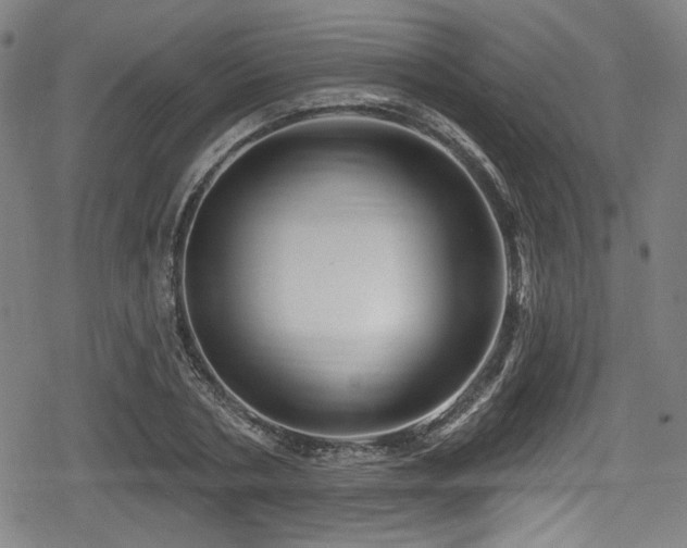 X0000078890786200611131229