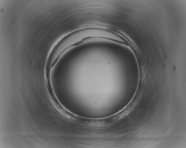 X0000078890788200611131229