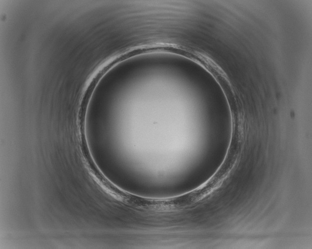 X0000078890789200611131229