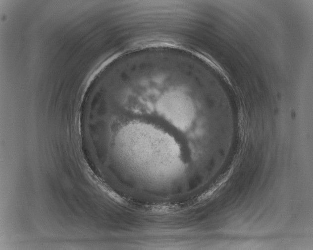 X0000078890790200611131229