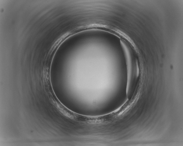 X0000078890793200611131228