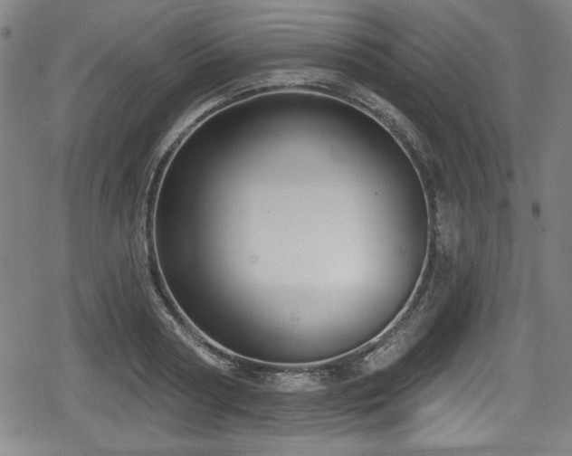 X0000078890794200611131228