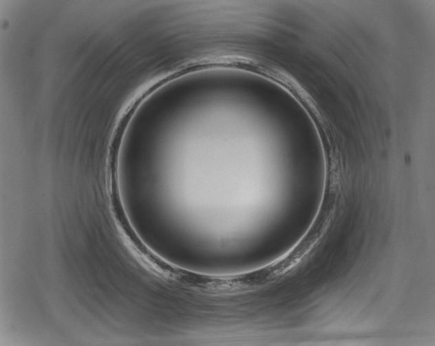 X0000078890795200611131228