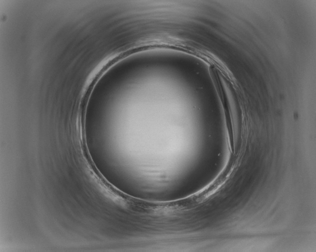 X0000078890796200611131228