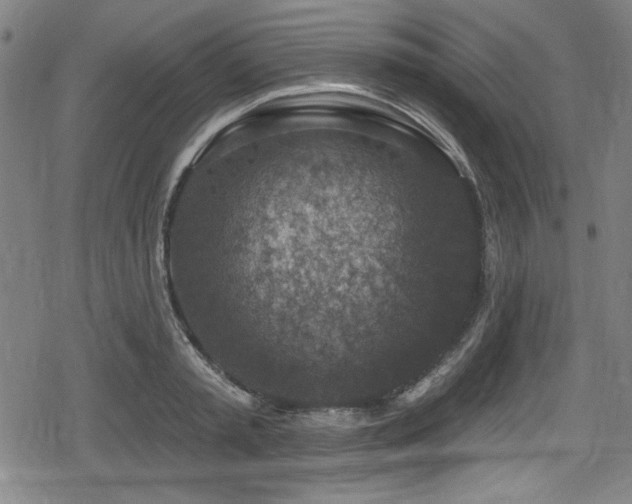 X0000078890797200611131228