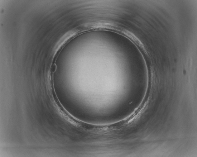 X0000078890798200611131228