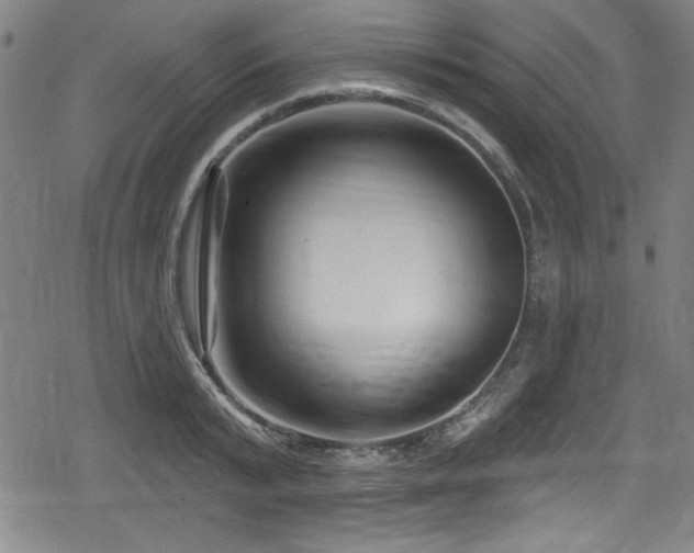 X0000078890799200611131228