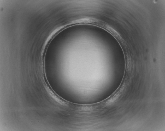 X0000078890800200611131228