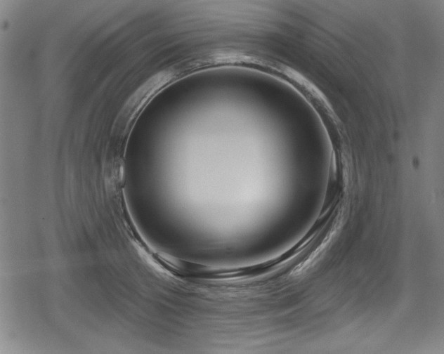 X0000078890801200611131228