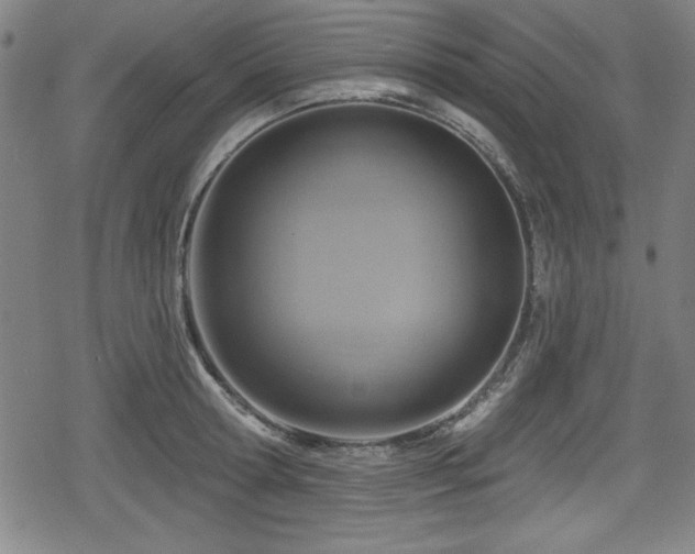 X0000078890802200611131228