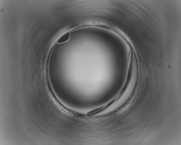 X0000078890803200611131228