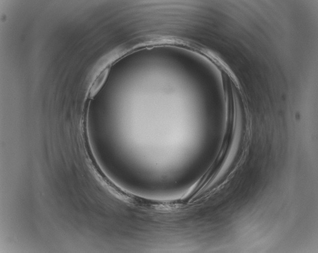 X0000078890805200611131228