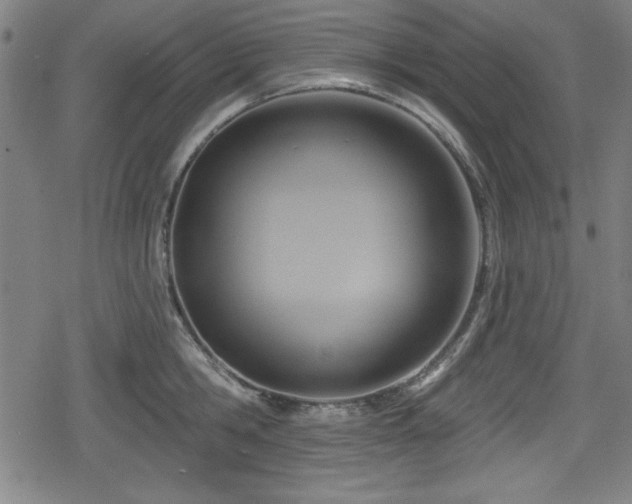 X0000078890806200611131228