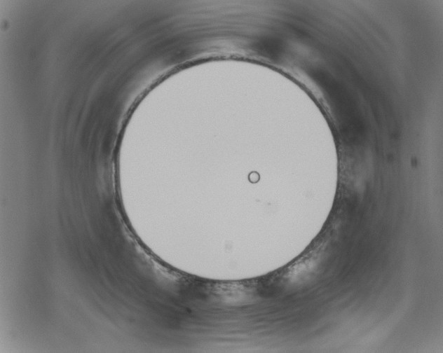 X0000078890807200611131228