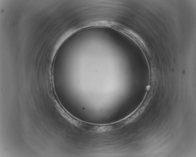 X0000078890808200611131228