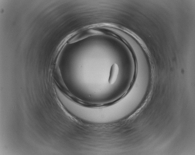 X0000078890809200611131228