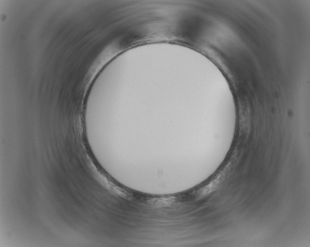 X0000078890810200611131228