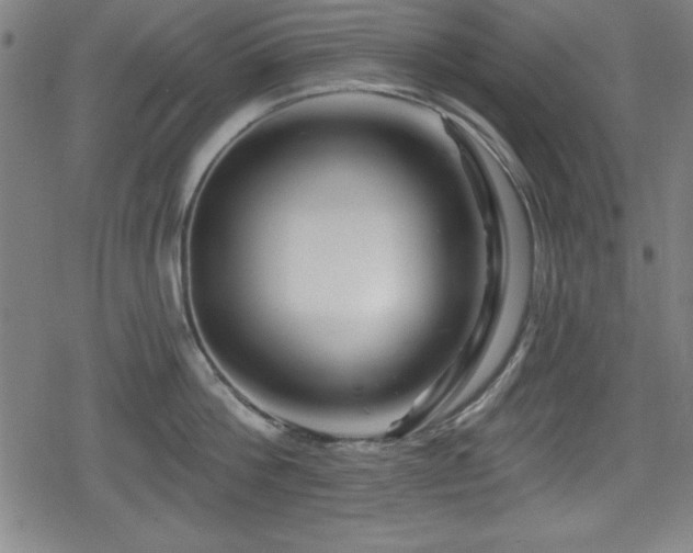 X0000078890812200611131228