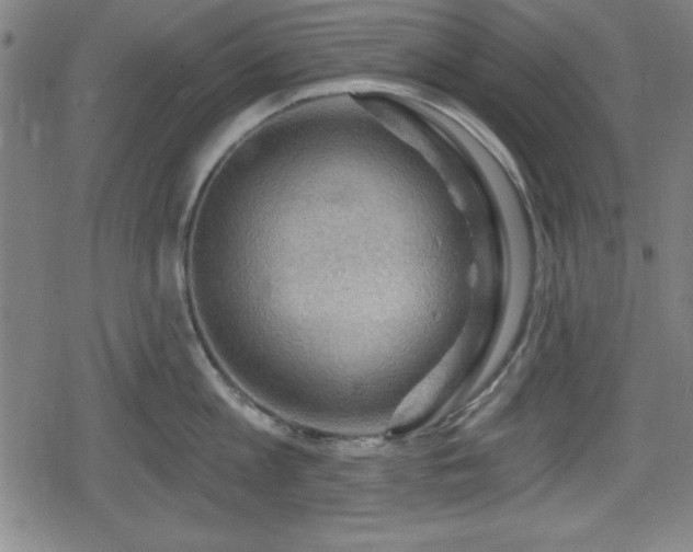 X0000078890813200611131228