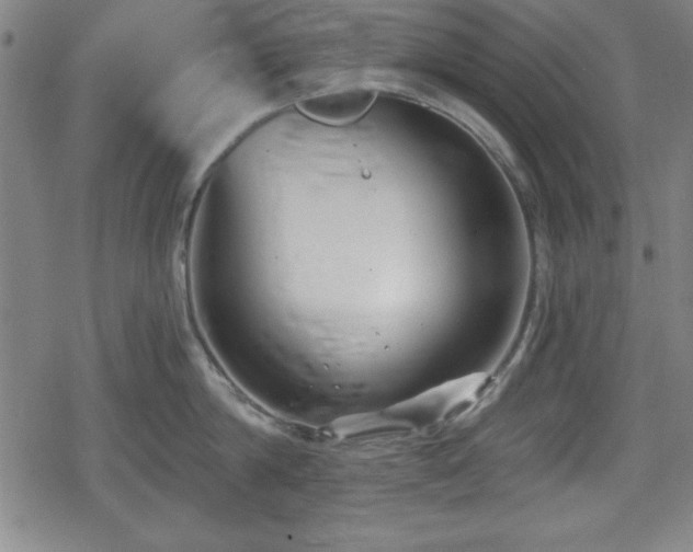 X0000078890814200611131228