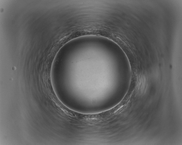 X0000078890817200611131227