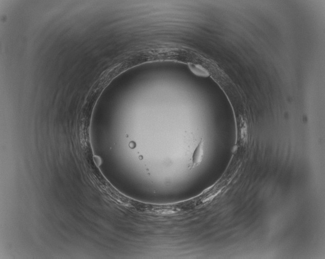 X0000078890819200611131227