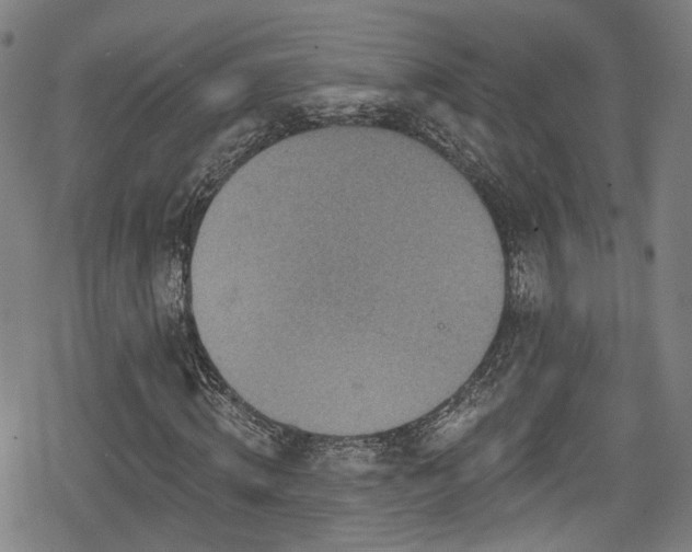 X0000078890820200611131227