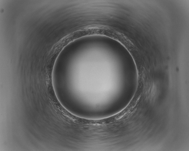 X0000078890821200611131227