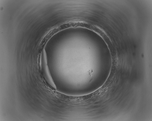 X0000078890823200611131227