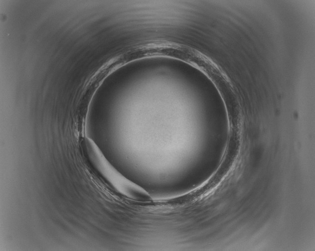 X0000078890825200611131227