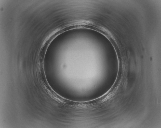 X0000078890827200611131227