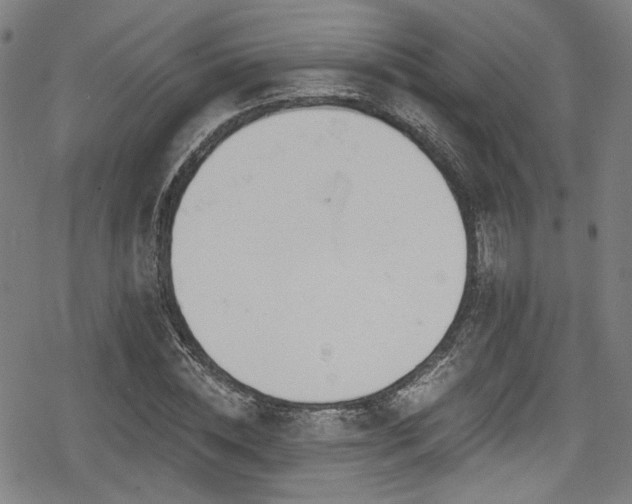 X0000078890828200611131228