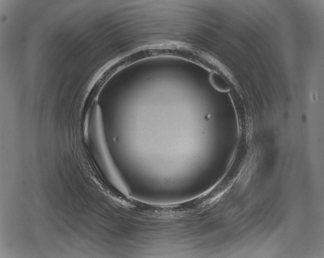 X0000078890829200611131228