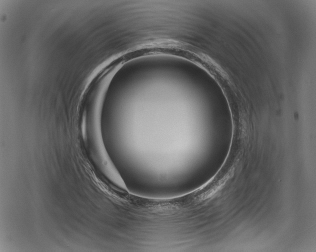 X0000078890830200611131228