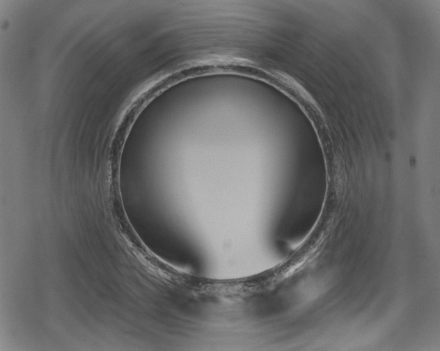 X0000078890831200611131228