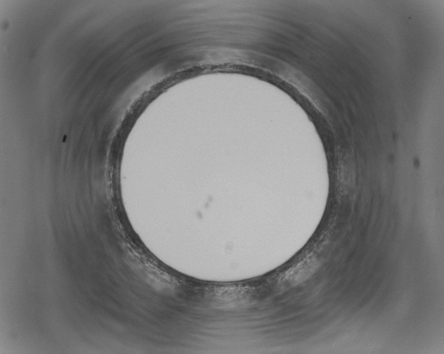 X0000078890832200611131228