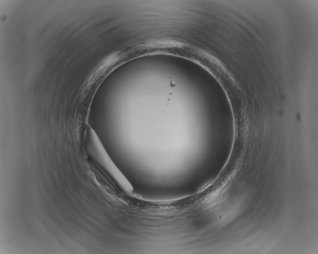 X0000078890833200611131228