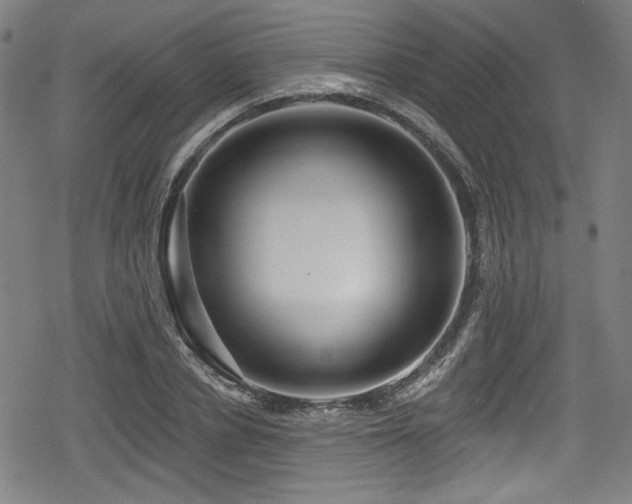 X0000078890834200611131228