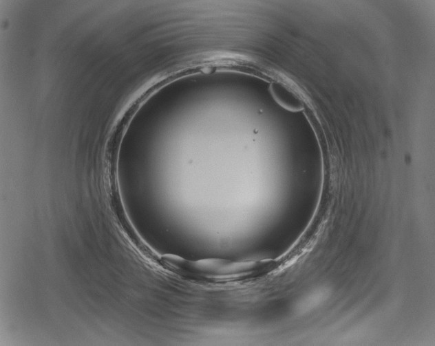 X0000078890835200611131228