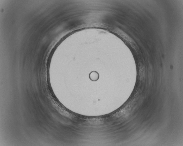 X0000078890836200611131228