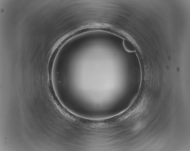 X0000078890837200611131228