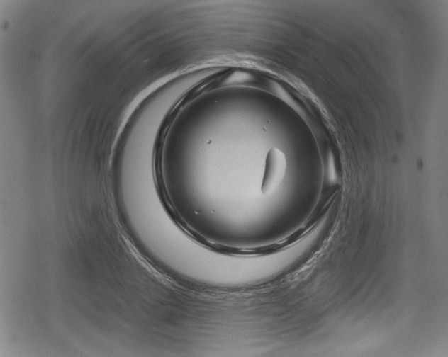 X0000078890838200611131228