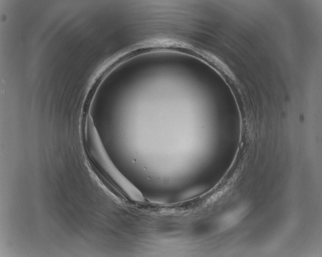 X0000078890839200611131228