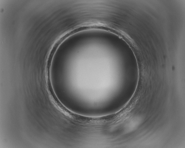 X0000078890840200611131228