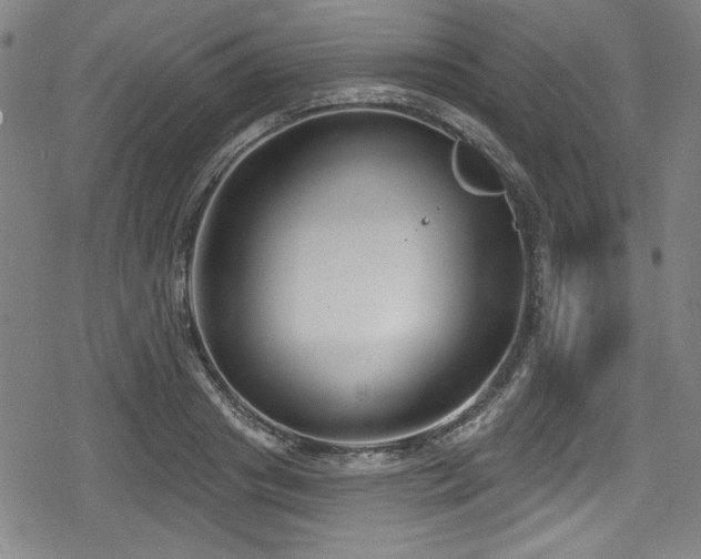 X0000078890841200611131228